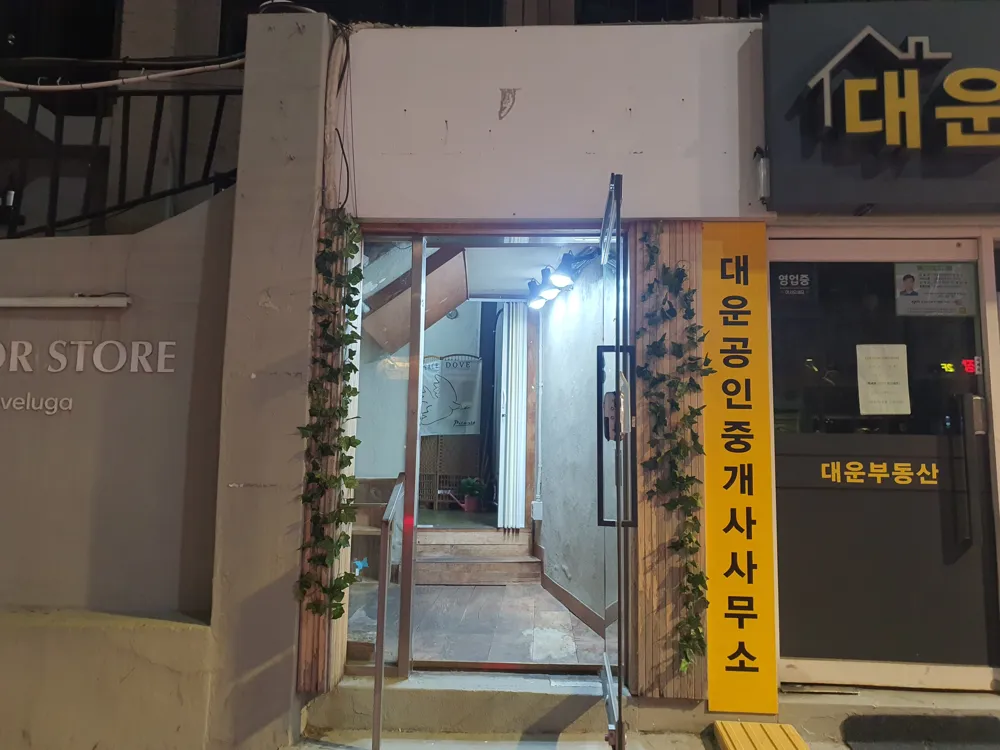 근육고양이스튜디오