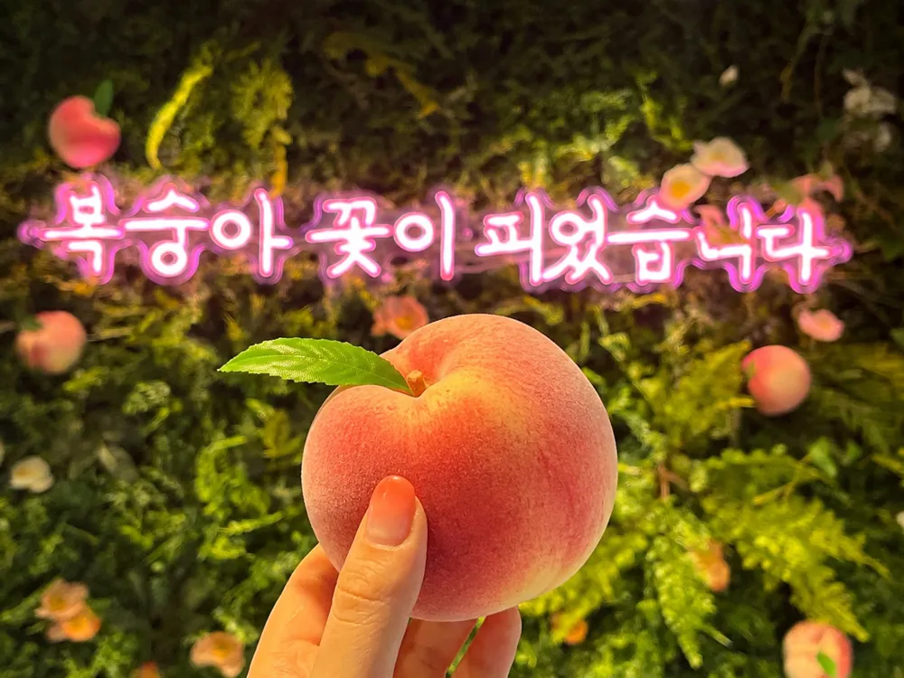 방추리 팝업스토어