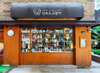 선유도 고양이