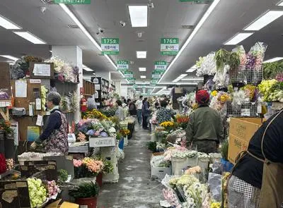 양재꽃시장