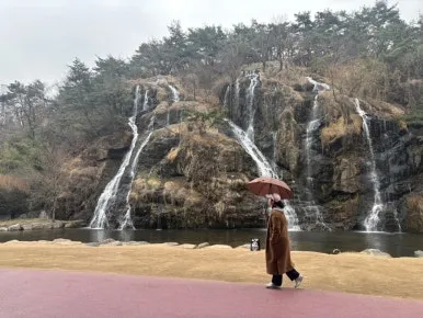 연희사과