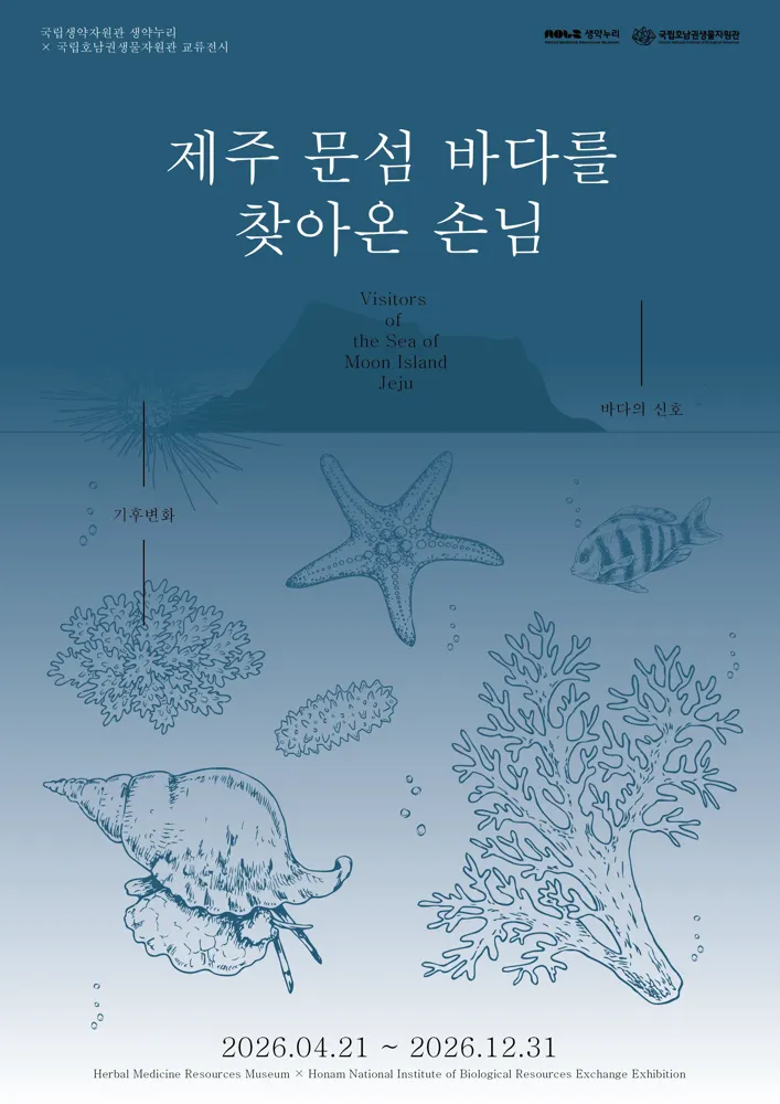 제주 문섬 바다를 찾아온 손님