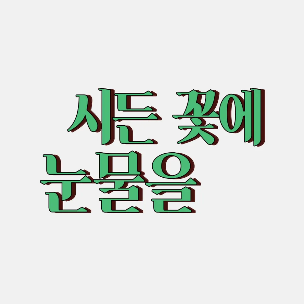 시든 꽃에 눈물을 팝업스토어
