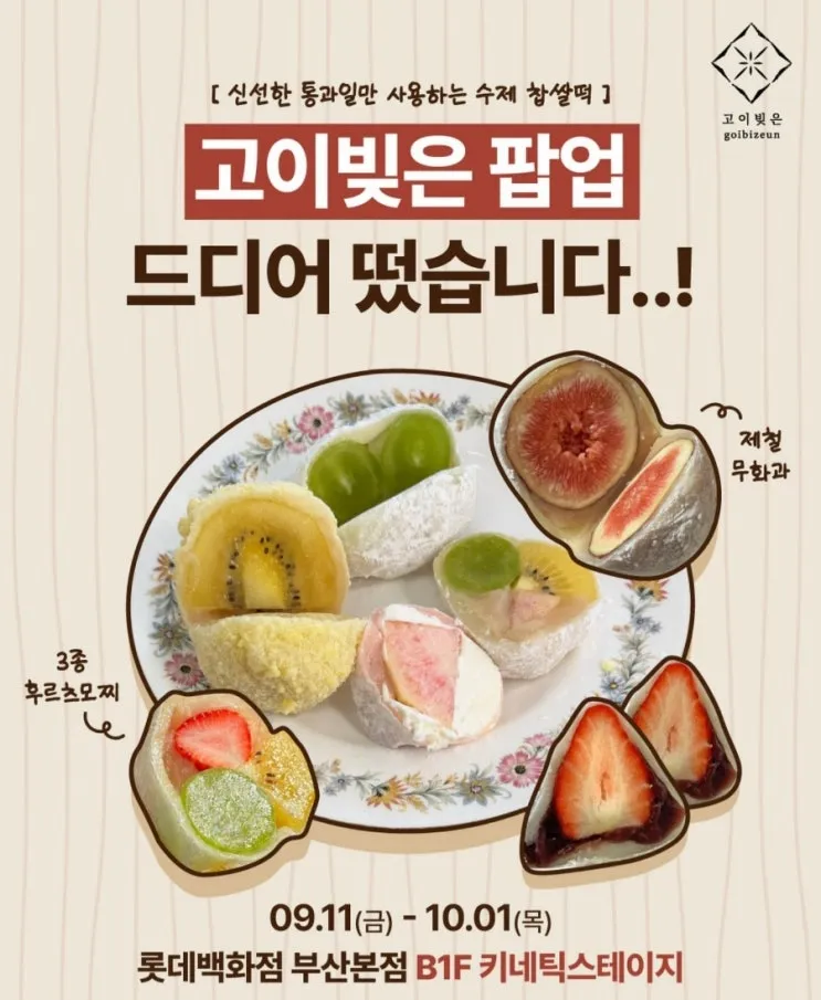 고이빚은 팝업