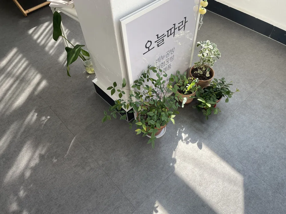 오늘따라