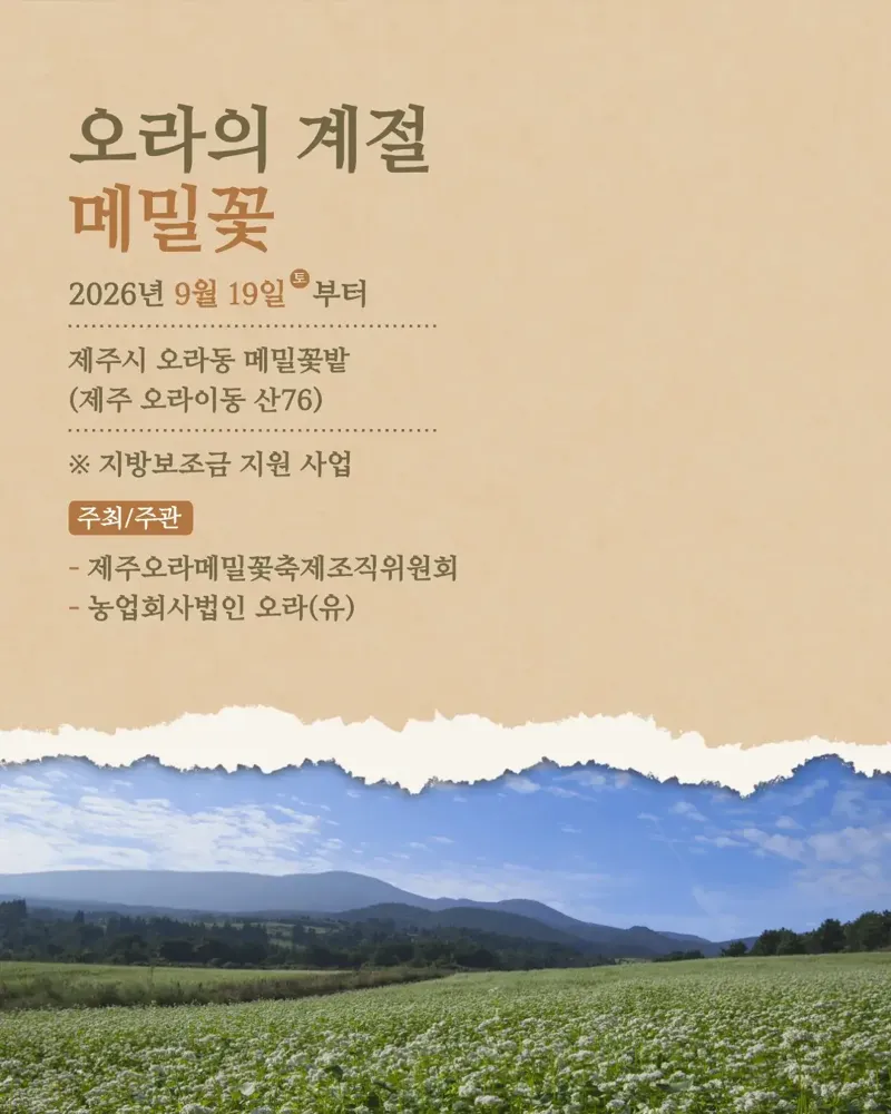 오라의 계절 : 메밀꽃